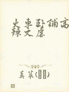 火车卧铺高h肉辣文虐