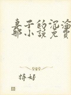 妻子的沉沦之路那小说免费阅读