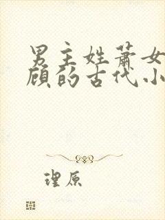 男主姓萧女主姓顾的古代小说