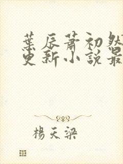 叶辰萧初然最快更新小说最新