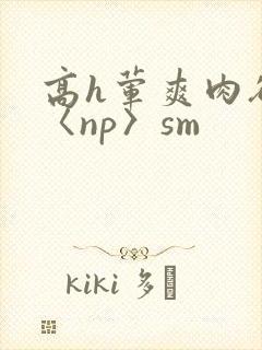 高h荤爽肉欲文〈np〉sm