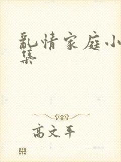 乱情家庭小说合集封面