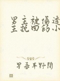 男主被伤透心女主挽回的小说