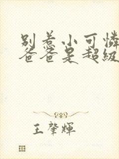 别惹小可怜,她爸爸是超级女儿奴小说