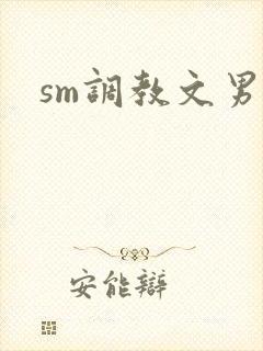 sm调教文男男