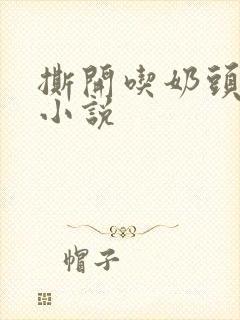 撕开吃奶头进去小说