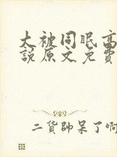 大被同眠高粱小说原文免费阅读封面