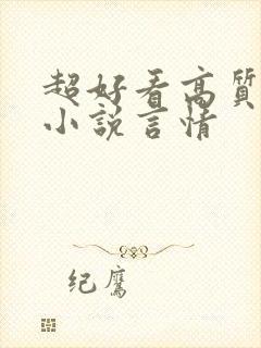 超好看高质量的小说言情