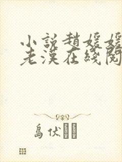 小说赵媛媛与王老汉在线阅读