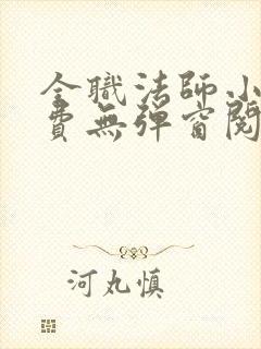 全职法师小说免费无弹窗阅读封面