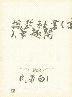 总裁秘书(高干),笔趣阁封面