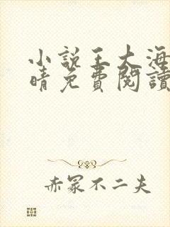 小说王大海与芷晴免费阅读