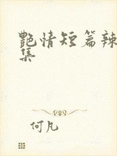 艳情短篇辣文合集