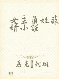 女主角姓苏的赘婿小说