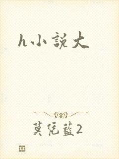 h小说大