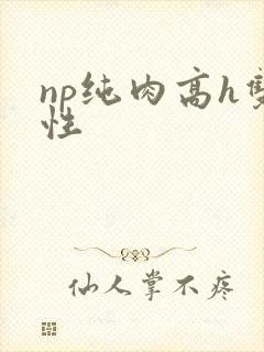 np纯肉高h双性