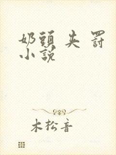 奶头 夹 罚 小说封面