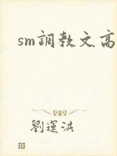 sm调教文高h