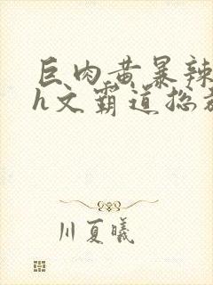 巨肉黄暴辣文高h文霸道总裁