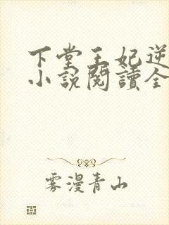 下堂王妃逆袭记小说阅读全文封面