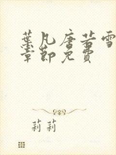 叶凡唐若雪最新章节免费封面