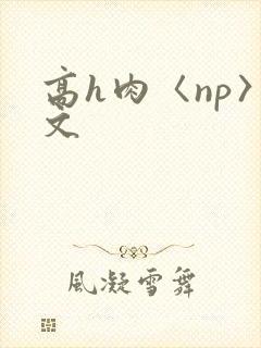 高h肉〈np〉文
