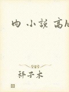 肉 小说 高h