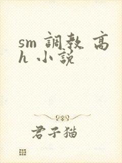 sm 调教 高h 小说