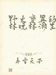 野火变异的父爱林晚林潮生