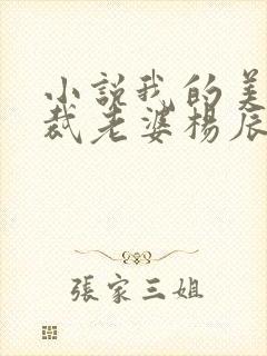 小说我的美女总裁老婆杨辰封面