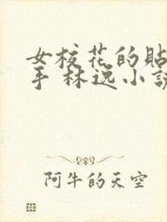 女校花的贴身高手 林逸小说封面