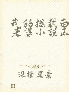 我的总裁白富美老婆小说正版封面