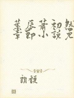 叶辰萧初然最新章节小说免费阅读