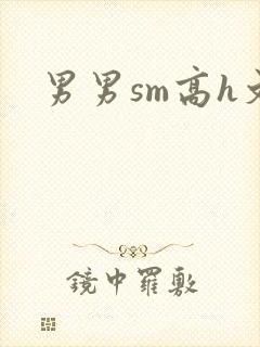 男男sm高h文