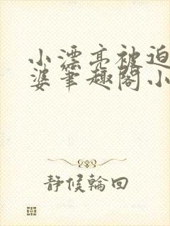 小漂亮被迫当老婆笔趣阁小说最新章