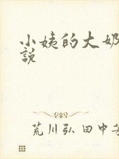 小姨的大奶子小说