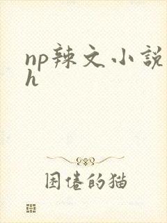 np辣文小说高h