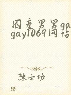 国产男男gaygay1069网站