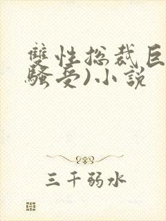 双性总裁巨乳(骚受)小说