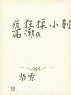 疯狂揉小到失禁高潮a