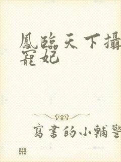 凤临天下摄政王宠妃