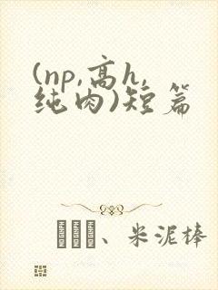 (np,高h,纯肉)短篇