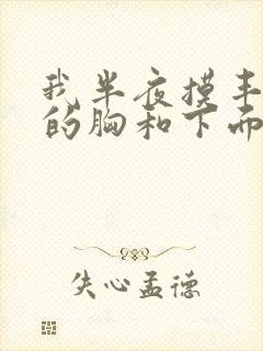 我半夜摸丰满亲的胸和下面小说
