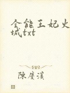全能王妃火爆京城txt封面