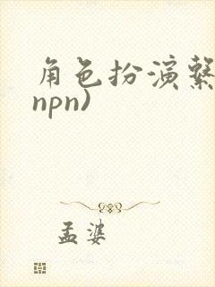 角色扮演系统(npn)