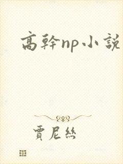高干np小说h