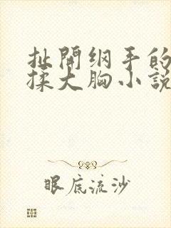 扯开纲手的乳罩揉大胸小说