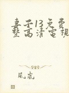 妻子13免费完整高清电视剧在线看封面