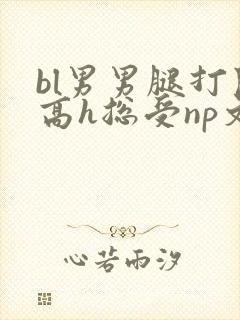 bl男男腿打开高h总受np文