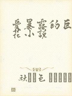 爱暴露的巨乳校花小说封面